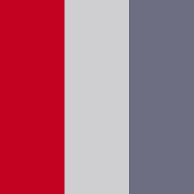 Red/Silver Gray-Silver Reflex