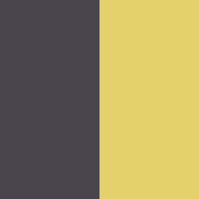 Dark Gray/Goldenrod