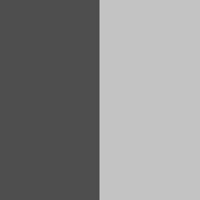 Dark Gray/Silver Gray