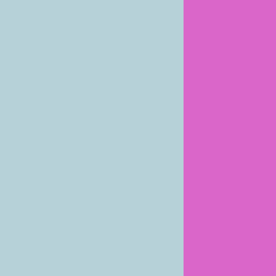 Pale Blue/Pink Fluo