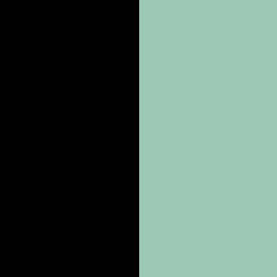 Black/Pastel Mint