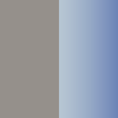 Nickel Gray/Blue Reflex