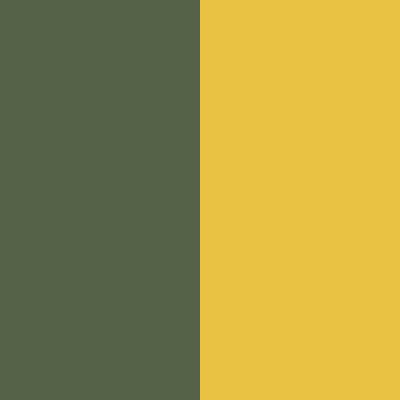 Military Green/Saffron