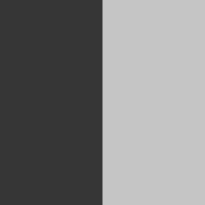 Light Black/Silver Reflex-Dark Gray