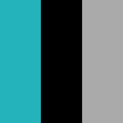 Turquoise/Black-Light Gray