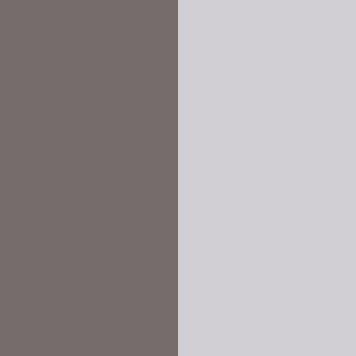 Gunmetal Gray/Sliver Gray