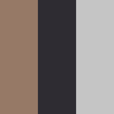 Tarmac/Black-Silver Reflex