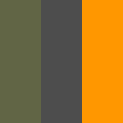 Light Military Green/Dark Gray-Brilliant Orange