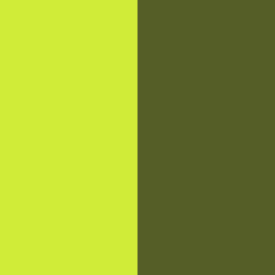 Electric Lime/Deep Green