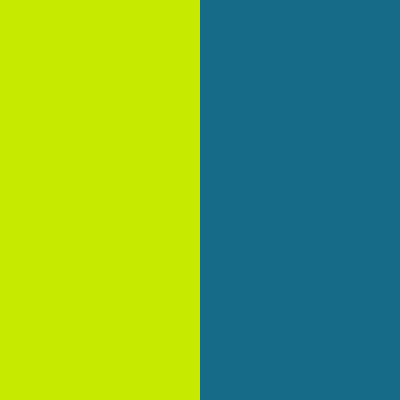 Electric Lime/Niagara Blue