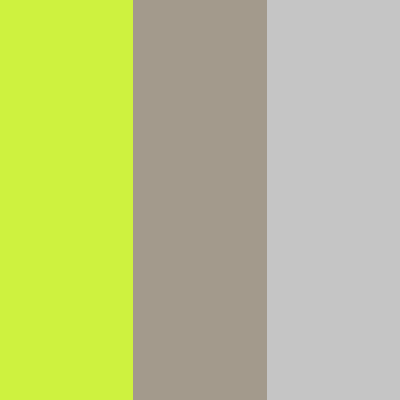 Electric Lime/Nickel Gray-Silver Reflex