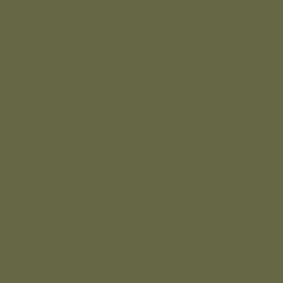 Olive Green Matt