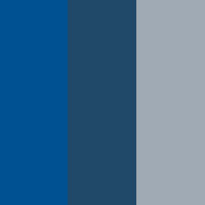 Cobalt Blue/Savile Blue-Silver Gray