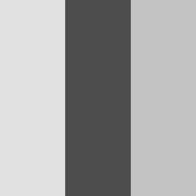 Ivory/Dark Gray/Silver Gray