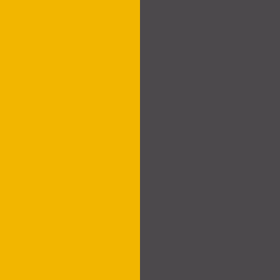 Goldenrod/Dark Gray