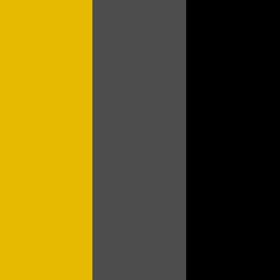 Goldenrod/Dark Gray-Black