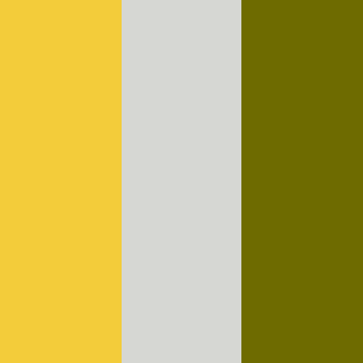 Passion Fruit/Ivory-Avocado Green