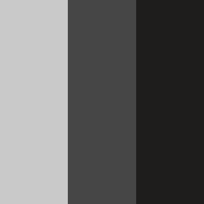 Silver Grey/Black