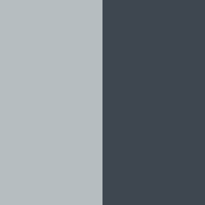 Silver Gray/Dark Gray