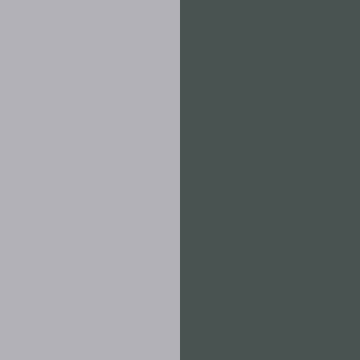 Silver Gray/Sedona Sage