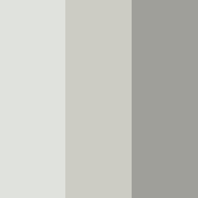 Multicolor Gray